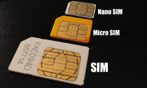 Sim